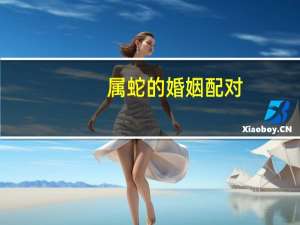 属蛇的婚姻配对