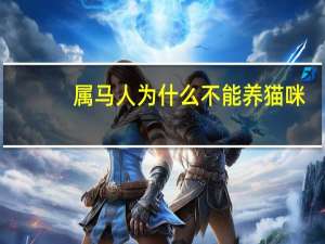 属马人为什么不能养猫咪