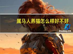 属马人养猫怎么样好不好