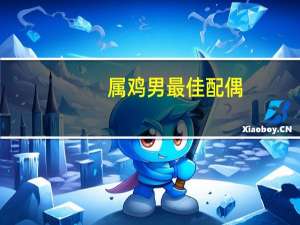 属鸡男最佳配偶（男属鸡和什么属相最配）