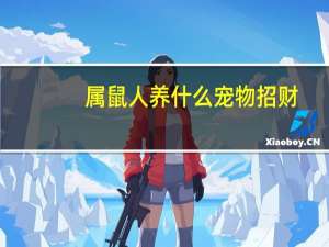 属鼠人养什么宠物招财