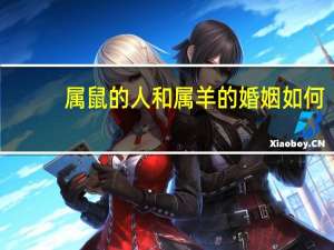 属鼠的人和属羊的婚姻如何