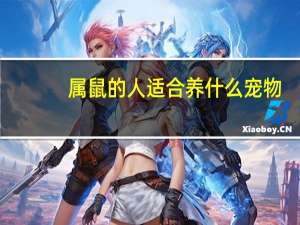 属鼠的人适合养什么宠物