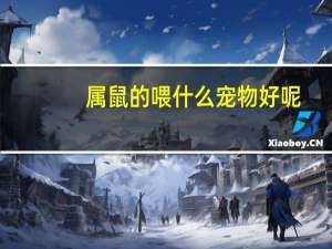 属鼠的喂什么宠物好呢