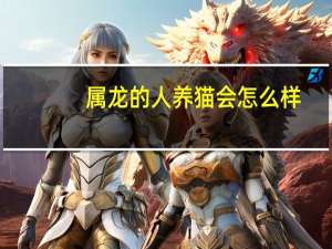 属龙的人养猫会怎么样