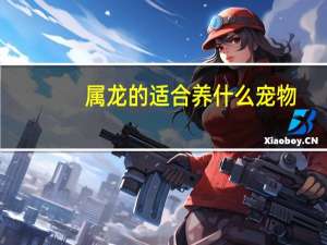 属龙的适合养什么宠物