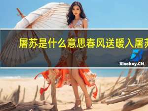 屠苏是什么意思春风送暖入屠苏（屠苏）