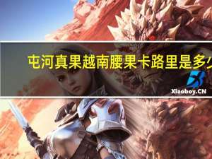 屯河 真果越南腰果卡路里是多少