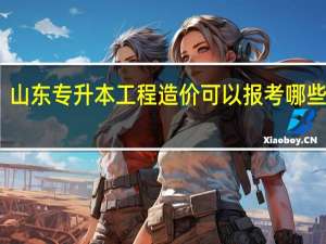 山东专升本工程造价可以报考哪些学校