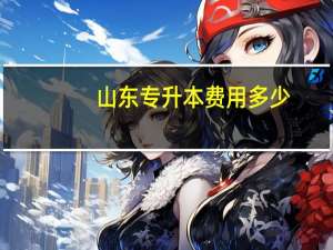 山东专升本费用多少