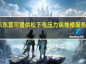山东东营可提供松下电压力锅维修服务地址在哪