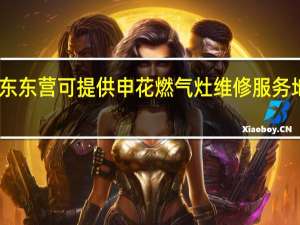 山东东营可提供申花燃气灶维修服务地址在哪