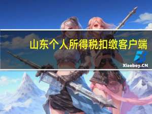 山东个人所得税扣缴客户端（山东个人所得税网上申报平台）