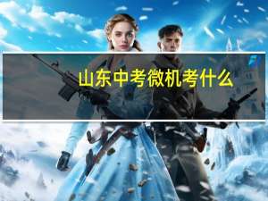 山东中考微机考什么