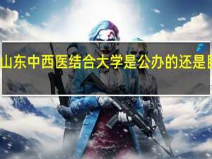 山东中西医结合大学是公办的还是民办的