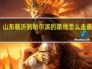 山东临沂到哈尔滨的路线怎么走最合适