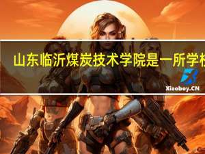 山东临沂煤炭技术学院是一所学校吗