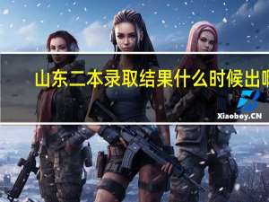 山东二本录取结果什么时候出啊