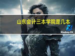 山东会计三本学院是几本