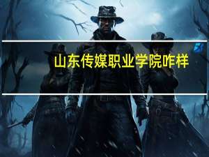 山东传媒职业学院咋样