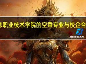 山东信息职业枝术学院的空乘专业与校企合作有什么优势
