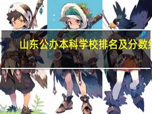 山东公办本科学校排名及分数线