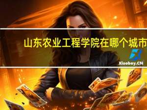 山东农业工程学院在哪个城市