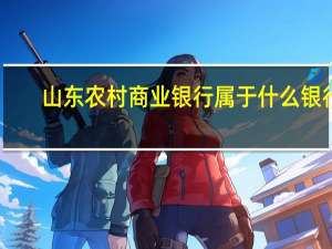 山东农村商业银行属于什么银行