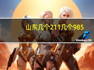 山东几个211几个985