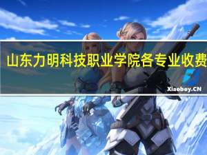 山东力明科技职业学院各专业收费标准