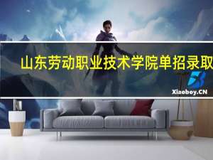 山东劳动职业技术学院单招录取线