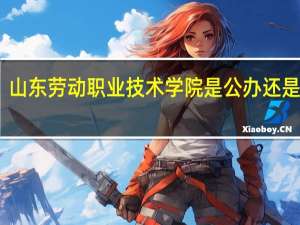 山东劳动职业技术学院是公办还是民办