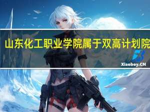 山东化工职业学院属于双高计划院校吗