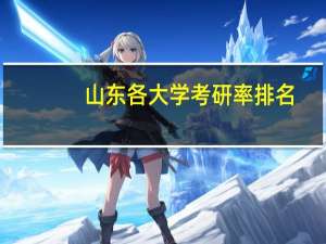 山东各大学考研率排名