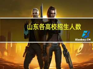 山东各高校招生人数