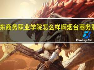 山东商务职业学院怎么样啊 烟台商务职业学院