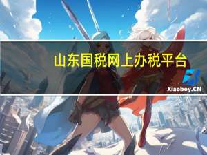 山东国税网上办税平台