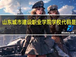 山东城市建设职业学院学校代码是多少