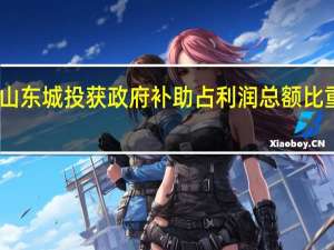 山东城投获政府补助占利润总额比重较高