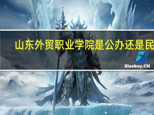 山东外贸职业学院是公办还是民办