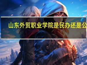 山东外贸职业学院是民办还是公办