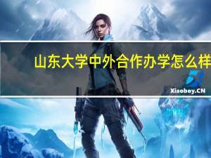 山东大学中外合作办学怎么样