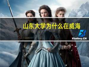 山东大学为什么在威海