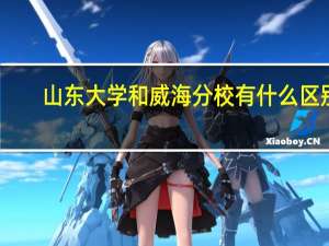 山东大学和威海分校有什么区别