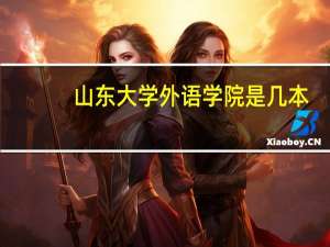 山东大学外语学院是几本