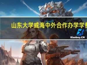 山东大学威海中外合作办学学费