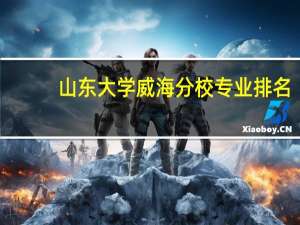 山东大学威海分校专业排名