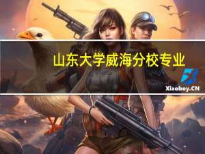 山东大学威海分校专业