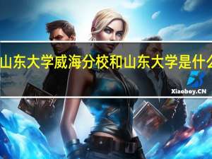 山东大学威海分校和山东大学是什么联系，毕业证一样吗