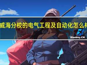 山东大学威海分校的电气工程及自动化怎么样啊 有硕士点没